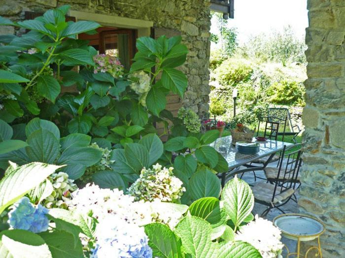 Villa Erica Con Piscina Privata Sul Lago Di Como Colico Exterior photo